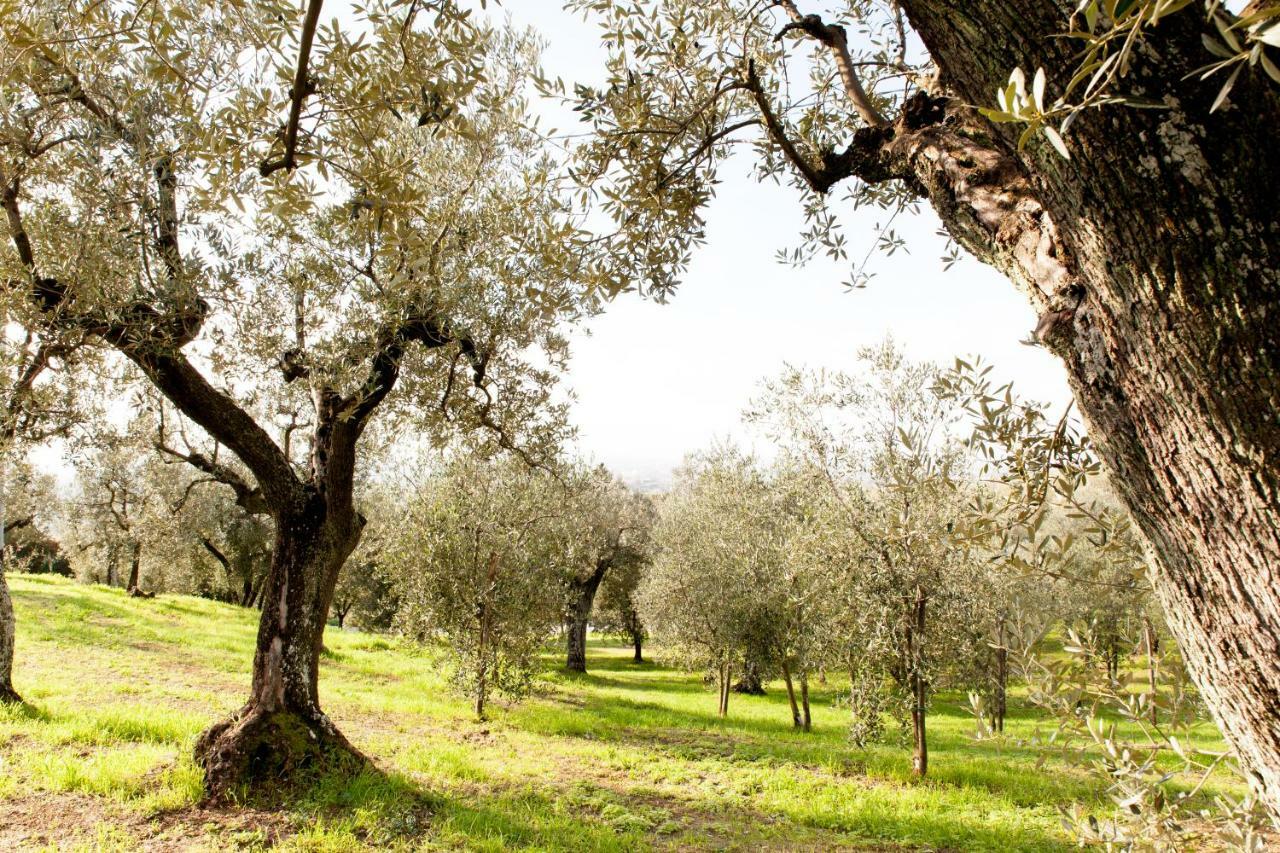 Agriturismo Podere Rondinaio Lamporecchio Exterior foto