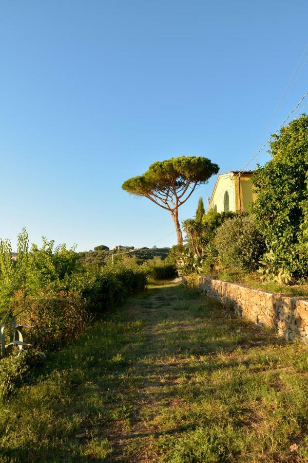 Agriturismo Podere Rondinaio Lamporecchio Exterior foto