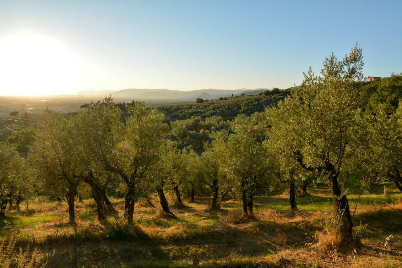 Agriturismo Podere Rondinaio Lamporecchio Exterior foto
